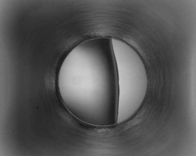X0000089880446200706281054