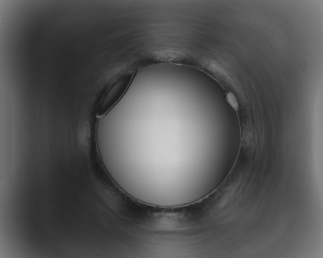 X0000089880448200706281054