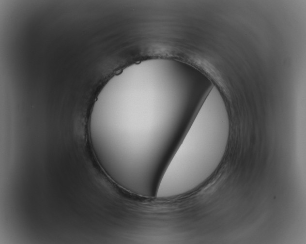 X0000089880449200706281054