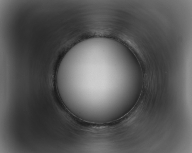 X0000089880450200706281054