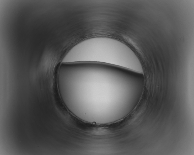 X0000089880451200706281054