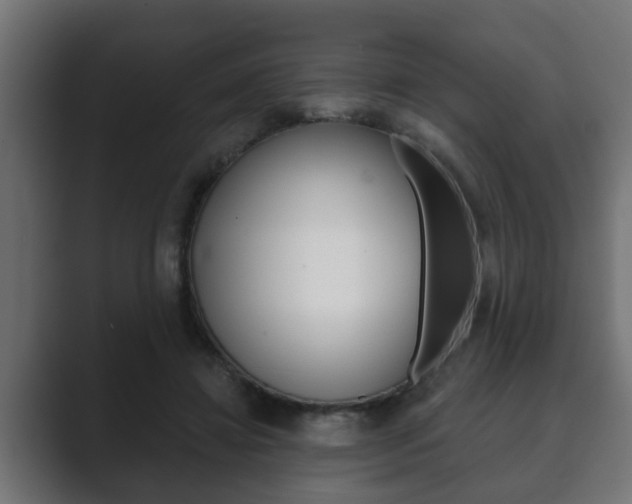 X0000089880452200706281054