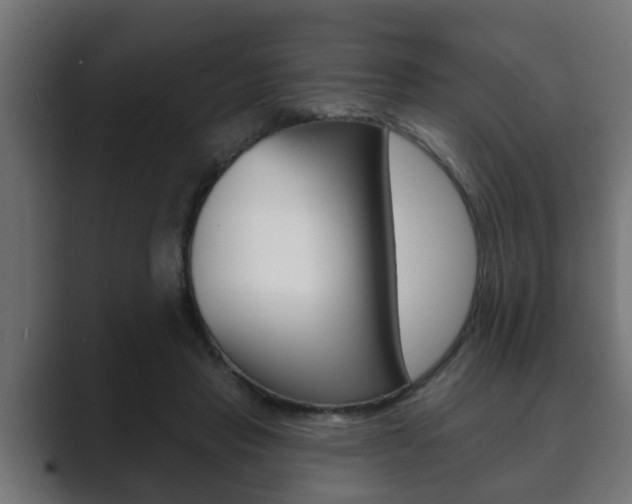 X0000089880453200706281054