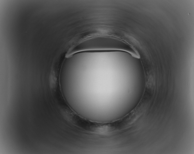 X0000089880456200706281054