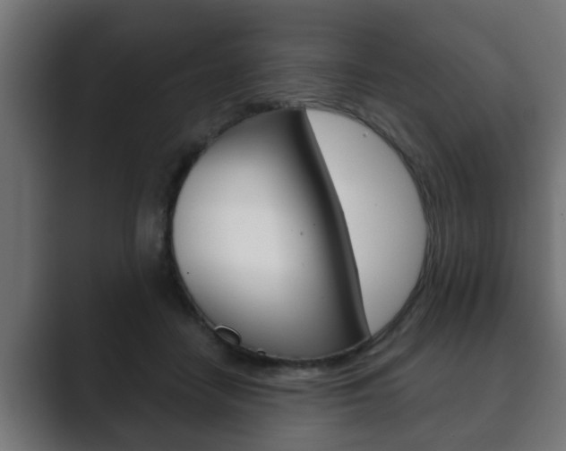 X0000089880458200706281054