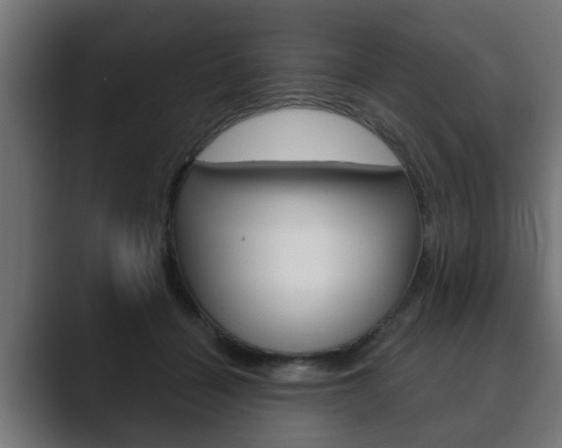 X0000089880460200706281054