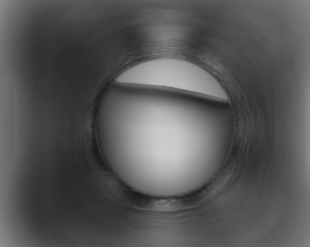 X0000089880461200706281054