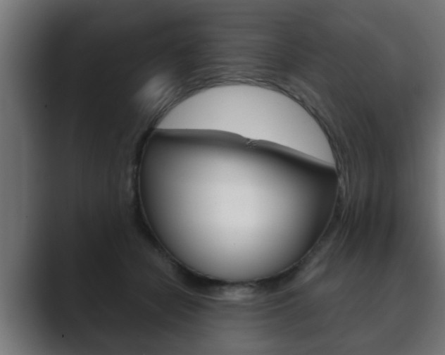 X0000089880462200706281054