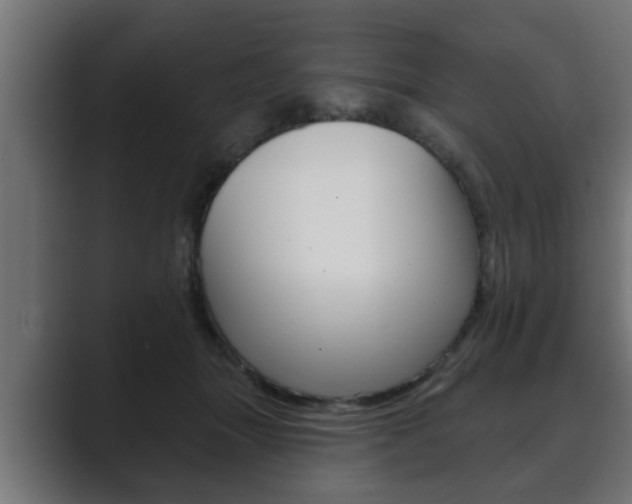 X0000089880463200706281054