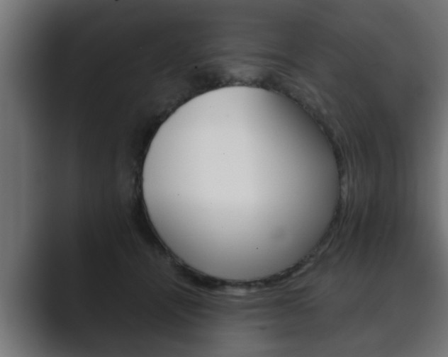 X0000089880464200706281054