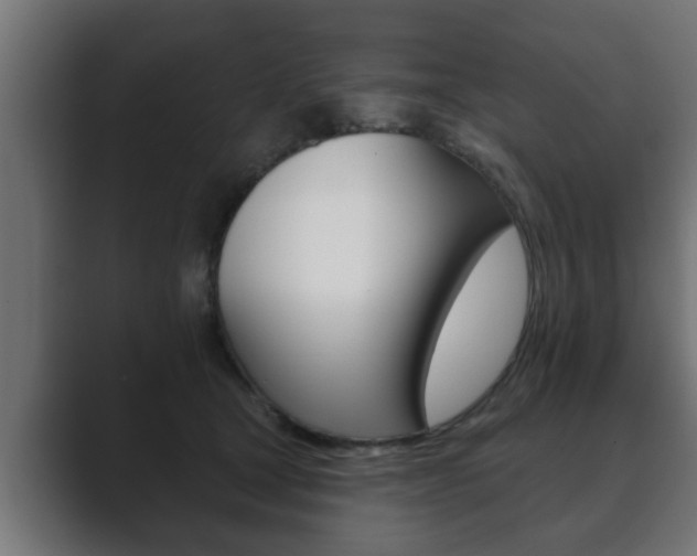 X0000089880465200706281054
