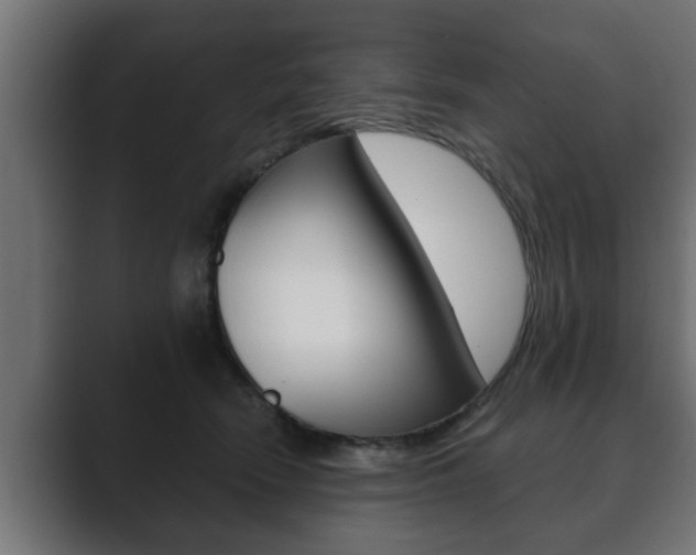 X0000089880466200706281054