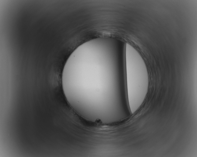 X0000089880467200706281054