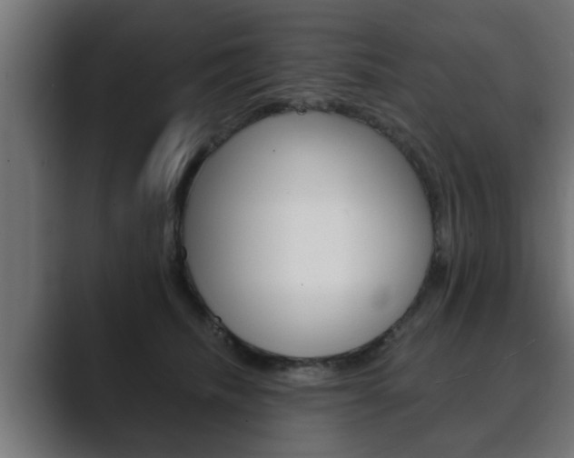 X0000089880468200706281054