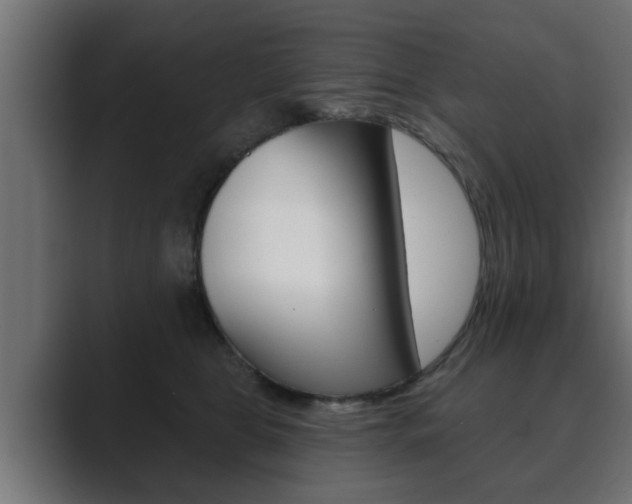 X0000089880469200706281054