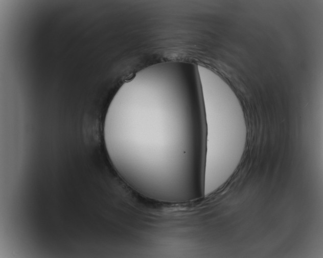 X0000089880470200706281054