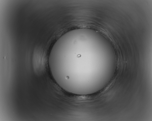 X0000089880473200706281054