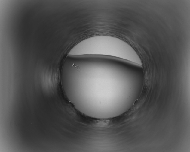 X0000089880474200706281054