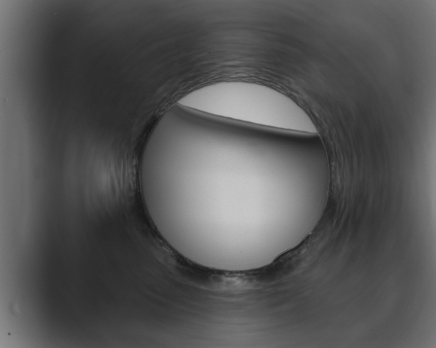 X0000089880475200706281054