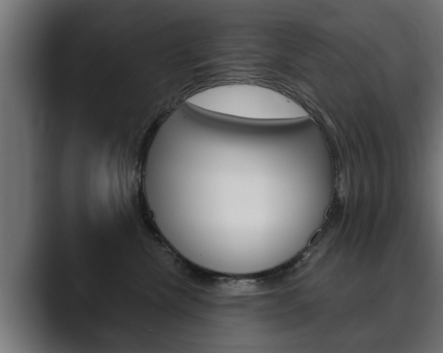 X0000089880476200706281054