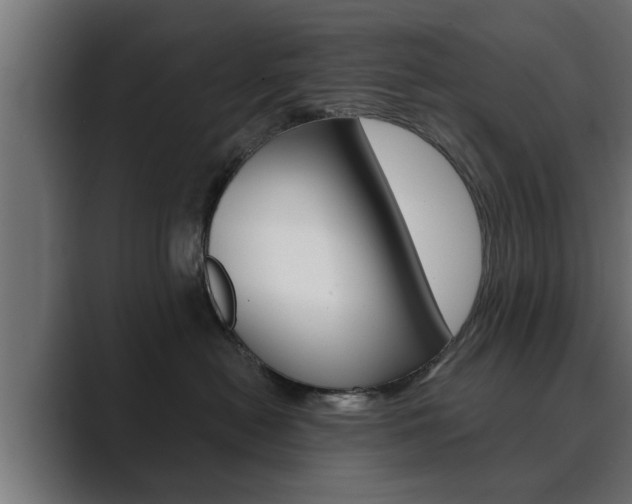 X0000089880478200706281054