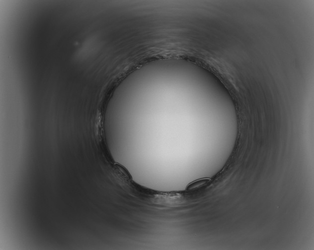 X0000089880480200706281054