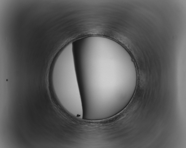 X0000089880482200706281053