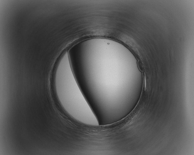 X0000089880483200706281053