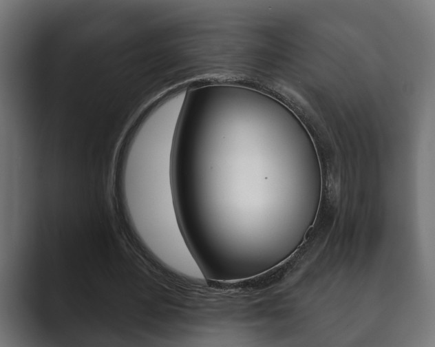 X0000089880484200706281053