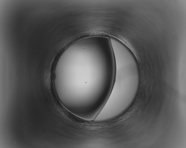X0000089880485200706281053