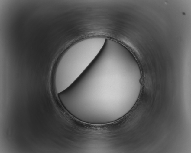 X0000089880486200706281053