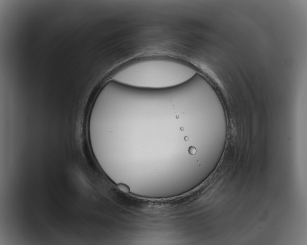 X0000089880487200706281053