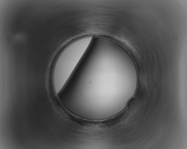 X0000089880488200706281053