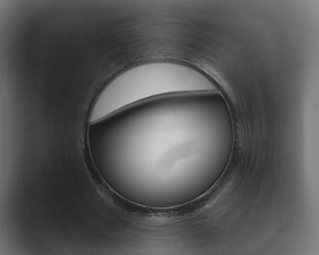 X0000089880489200706281053