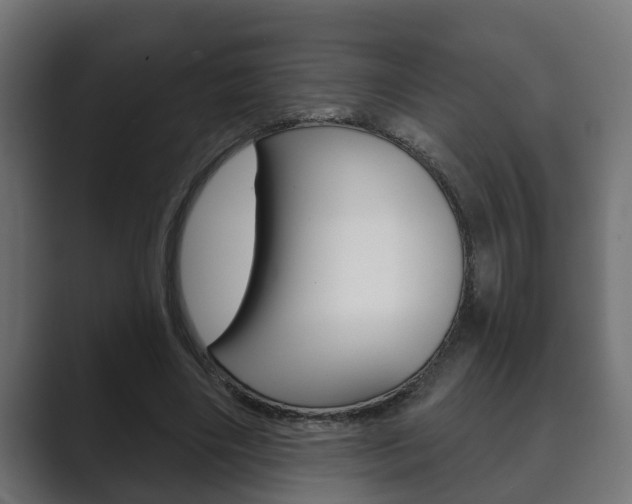 X0000089880490200706281053
