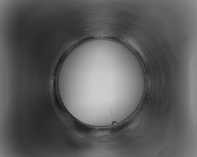 X0000089880491200706281053