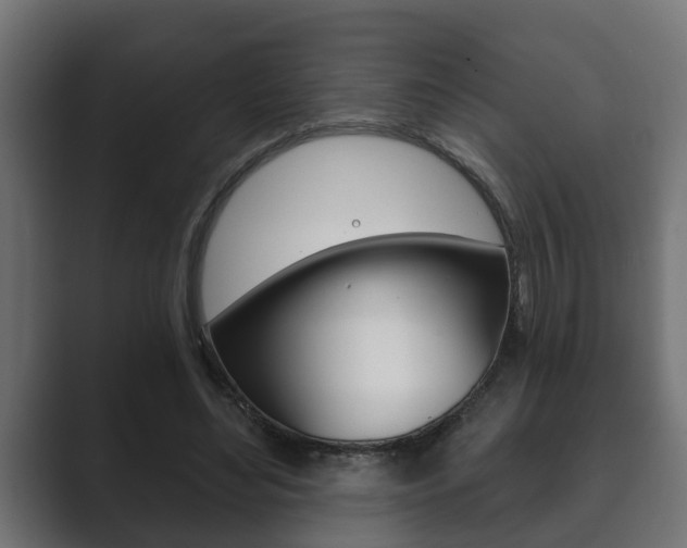 X0000089880492200706281053