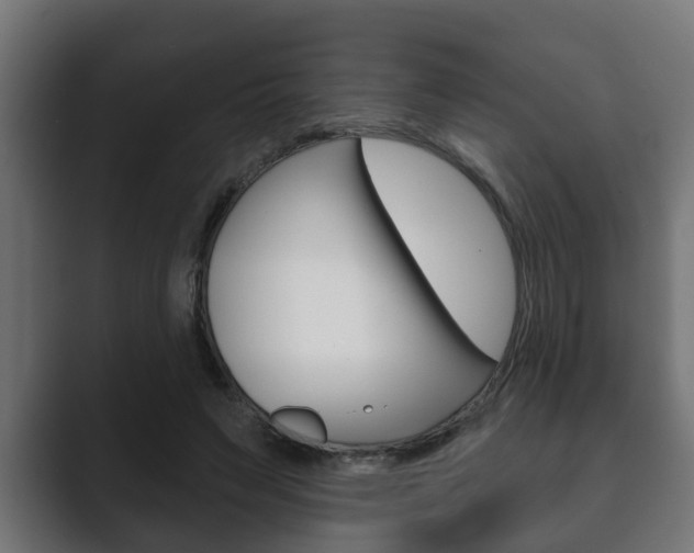X0000089880495200706281053