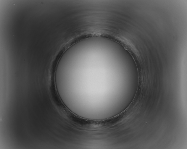 X0000089880496200706281053