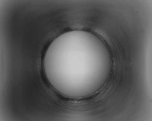 X0000089880498200706281053