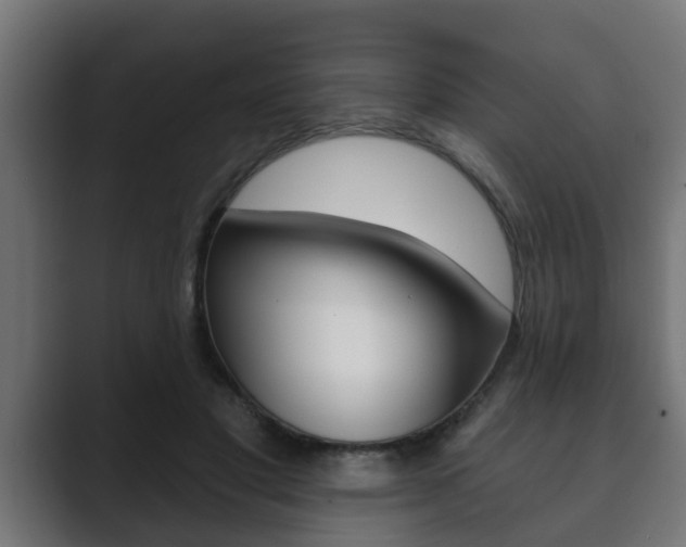 X0000089880501200706281053