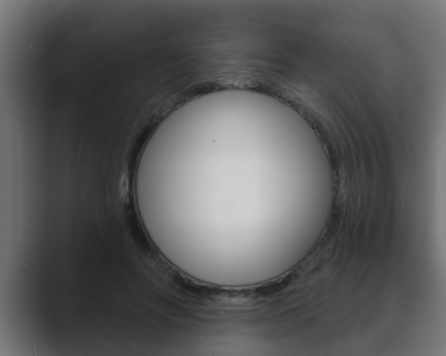 X0000089880502200706281053