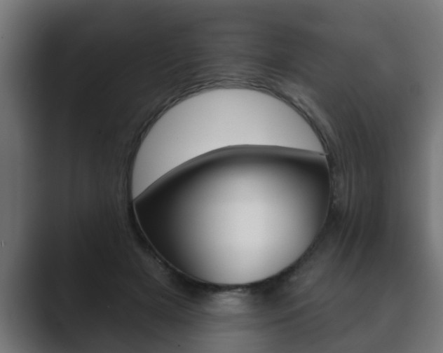 X0000089880505200706281053