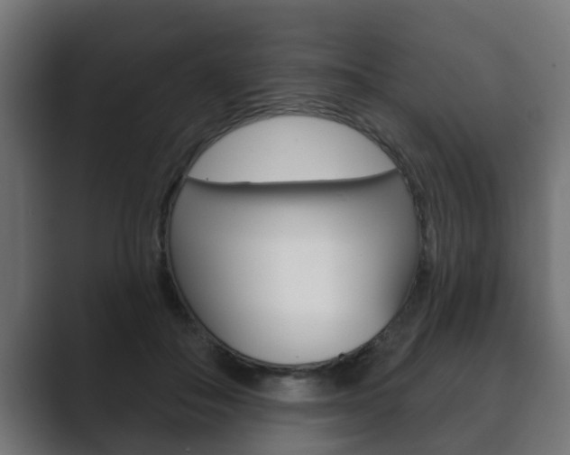 X0000089880506200706281053