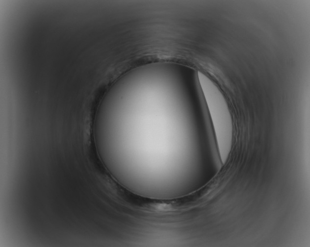 X0000089880509200706281053