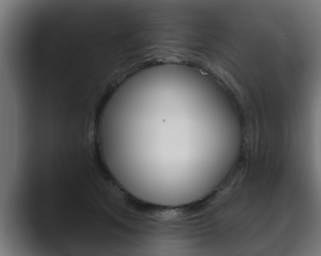 X0000089880513200706281053