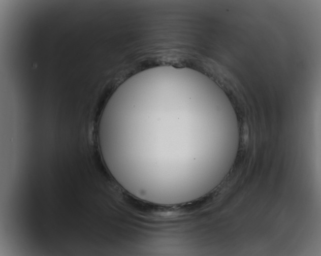 X0000089880514200706281053