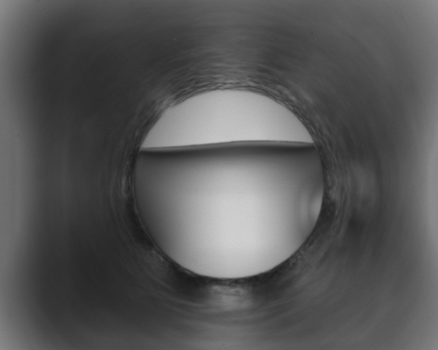 X0000089880515200706281053