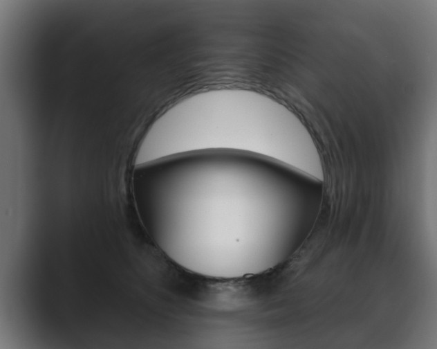 X0000089880516200706281053