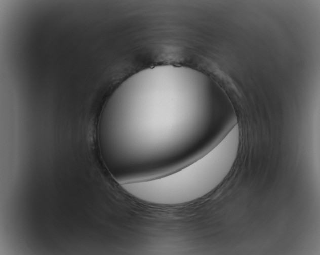 X0000089880517200706281053